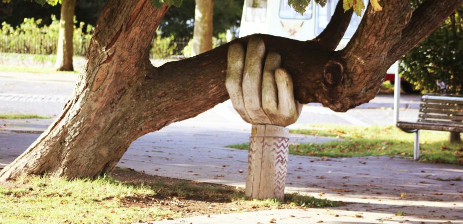 Hand holding up tree